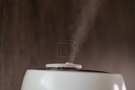 Téléchargez les photos : Vapeur d'huile d'arôme provenant de l'humidité de l'humidificateur ou du diffuseur - en image libre de droit