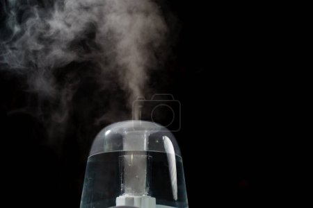 Téléchargez les photos : Diffuseur d'huile d'arôme ou humidificateur d'air, augmentation de l'humidité de l'air - en image libre de droit
