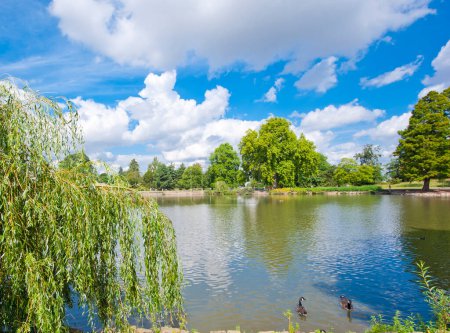 Photo for Small lake in a beautiful garden setting - Royalty Free Image