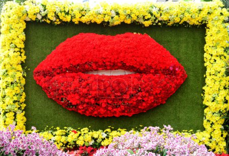 Téléchargez les photos : Arrangements floraux vue rapprochée - en image libre de droit