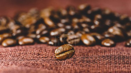 Photo for Roasted brown coffee beans on Canvas textile - Royalty Free Image