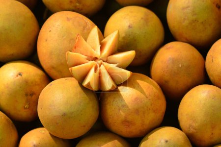 Foto de Fondo de fruta de mango maduro y dulce - Imagen libre de derechos