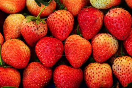 Photo for Close up view of delicious fresh strawberries - Royalty Free Image