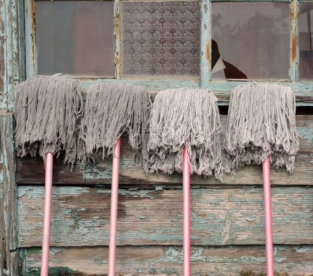 Photo for Mops and Old House - Royalty Free Image