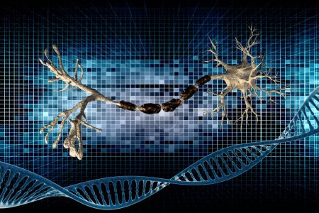Foto de Ilustración digital ADN y neurona - Imagen libre de derechos