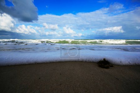 Photo for Bubbles and shells on the beach. - Royalty Free Image