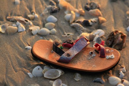 Photo for Damaged children shoes and shells on the beach - Royalty Free Image