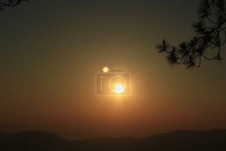 Téléchargez les photos : Silhouettes de branches de pin Avec coucher de soleil - en image libre de droit