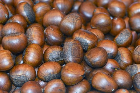Photo for Chestnuts top view close up - Royalty Free Image