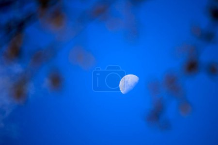 Foto de Cielo de día con luna, ciencia de la astronomía - Imagen libre de derechos