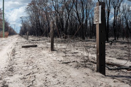 Téléchargez les photos : Une clôture endommagée quelques jours après qu'un incendie a fait rage dans la région. - en image libre de droit
