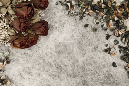 Téléchargez les photos : Fond romantique aux couleurs douces d'automne avec des roses séchées - en image libre de droit