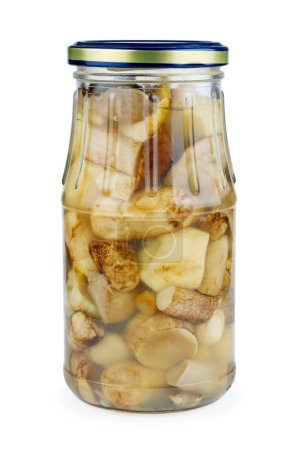 Téléchargez les photos : Bouleau bolete champignons dans des bocaux en verre. Isolé sur fond blanc - en image libre de droit