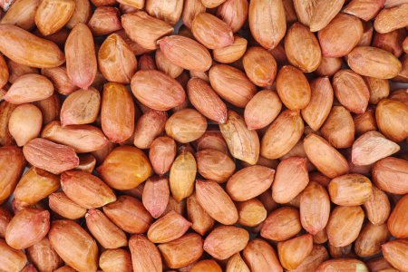 Photo for Raw shelled peanuts, close up - Royalty Free Image