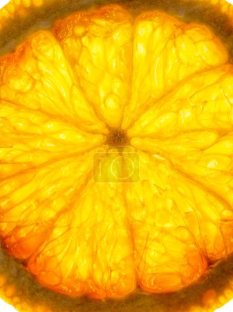 Photo for Backlit Orange Slice, close up - Royalty Free Image