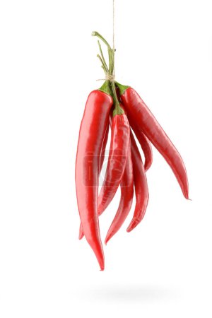 Photo for Hanged Chili Peppers on white background - Royalty Free Image