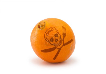 Foto de Fruta venenosa de OMG sobre fondo blanco - Imagen libre de derechos