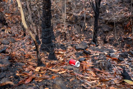 Téléchargez les photos : Tout de suite après les feux de brousse, les gens laissent des déchets dans le paysage - en image libre de droit
