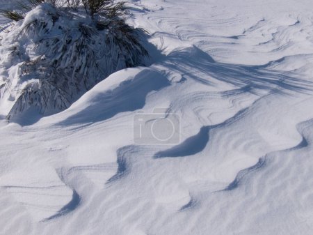 Téléchargez les photos : Gros plan d'un beau fond de forêt de montagne pour le concept de temps neigeux - en image libre de droit