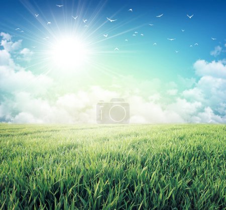 Téléchargez les photos : Fond bleu ciel et herbe verte - en image libre de droit