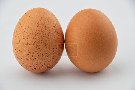Foto de Dos huevos de pollo sobre fondo blanco - Imagen libre de derechos