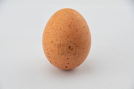 Téléchargez les photos : A single chicken egg - en image libre de droit