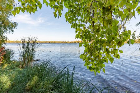 Téléchargez les photos : Nature vue panoramique avec arbres et rivière - en image libre de droit