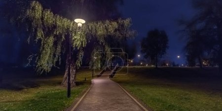 Téléchargez les photos : Vue sur le parc la nuit - en image libre de droit