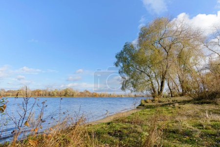 Téléchargez les photos : Arbres d'automne près du lac pendant la journée - en image libre de droit