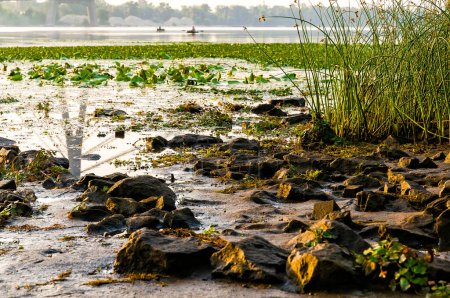 Téléchargez les photos : Vue sur la rivière Dniper le matin - en image libre de droit