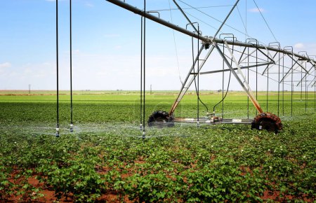 Téléchargez les photos : Système d'irrigation en gros plan - en image libre de droit