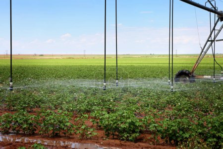 Téléchargez les photos : Système d'irrigation en gros plan - en image libre de droit