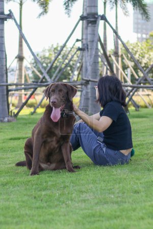 Foto de Labrador con chica en el parque - Imagen libre de derechos
