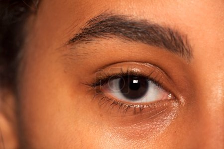 Téléchargez les photos : Sourcils et yeux naturels sans maquillage - en image libre de droit