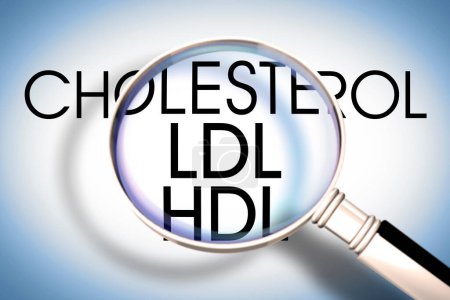 Aufmerksamkeit für High und Low Density Lipoprotein - HDL und LDL Hintergrund 