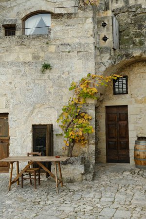 Téléchargez les photos : Cépages cultivés dans une jardinière en pierre dans le Sassi de Matera. - en image libre de droit