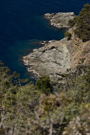 Foto de Cinque Terre, Liguria, Italia. Un acantilado marino con vegetación. - Imagen libre de derechos