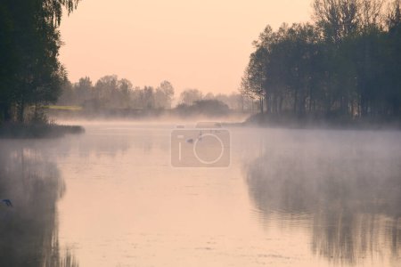 Téléchargez les photos : Matin brumeux d'automne. Paysage fluvial calme et sinistre. - en image libre de droit