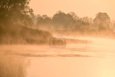 Téléchargez les photos : Matin brumeux en automne avec reflet des arbres dans la rivière - en image libre de droit