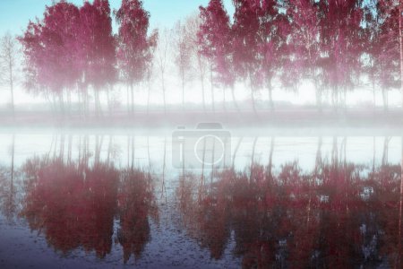 Téléchargez les photos : Matin brumeux en automne avec reflet des arbres dans la rivière - en image libre de droit