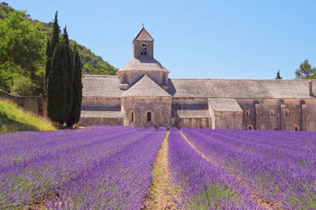 Foto de Abadía de Snanque (Provenza, Francia) - Imagen libre de derechos