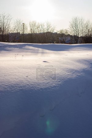 Téléchargez les photos : Nombreuses pistes sur la clairière couvertes de neige, sentiers dans la neige, prairie enneigée - en image libre de droit