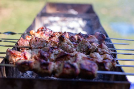 Photo for "Kebabs on the grill. Cooking kebabs in Germany." - Royalty Free Image