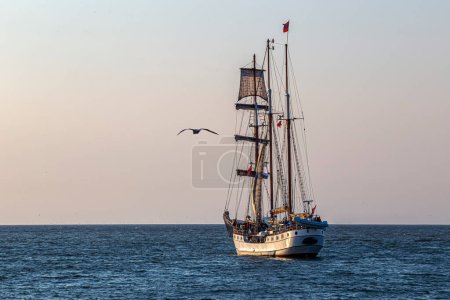 Téléchargez les photos : Une mouette volant à côté d'un grand navire antique, navire quittant le port de La Haye, Scheveningen sous un coucher de soleil chaud et un ciel doré - en image libre de droit