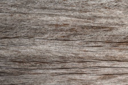 Foto de Textura de placa de madera impermeable vieja natural con rayas regulares - Imagen libre de derechos