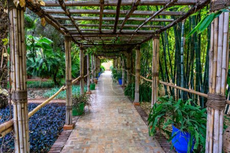 Photo for Morocco, Marrakech,Yves San Laurent Gardens or Le Jardin Majorelle, December 1, 2019: Amazing tropical gardens - Royalty Free Image