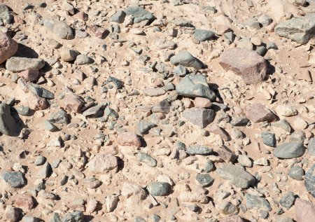 Téléchargez les photos : Terrain désertique pierreux fond - en image libre de droit