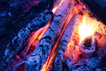 Téléchargez les photos : Brûler du bois dans les bois le soir - en image libre de droit