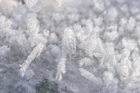 Foto de Nieve hermosa y fondo de textura congelada - Imagen libre de derechos