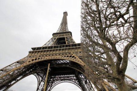 Photo for Eifel tower scenic view - Royalty Free Image